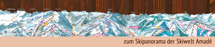 Pistenpanorama Skiregion Amadé